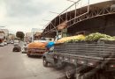 Caminhões invadem Eunápolis vendendo banana abaixo do preço prejudicando feirantes e produtores em Eunápolis Caminhões invadem Eunápolis vendendo banana abaixo do preço prejudicando feirantes e produtores em Eunápolis