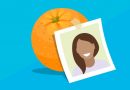 TSE decide que uso de candidatura feminina laranja cassa os eleitos da chapa TSE decide que uso de candidatura feminina laranja cassa os eleitos da chapa