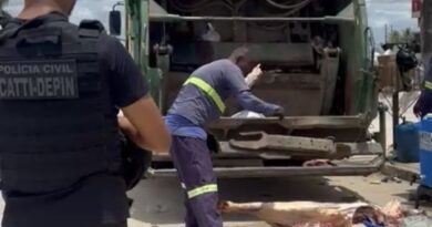 Carne de gado roubado e imprópria para consumo é apreendida e destruída