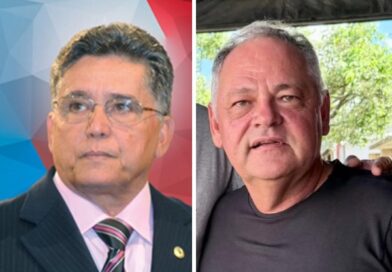 Dois ovos de serpente chocados