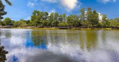 Semana do Meio Ambiente em Eunápolis – confira a programação