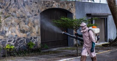 Saúde reforça prevenção à dengue devido a combinação de chuva e calor em Eunápolis Saúde reforça prevenção à dengue devido a combinação de chuva e calor em Eunápolis